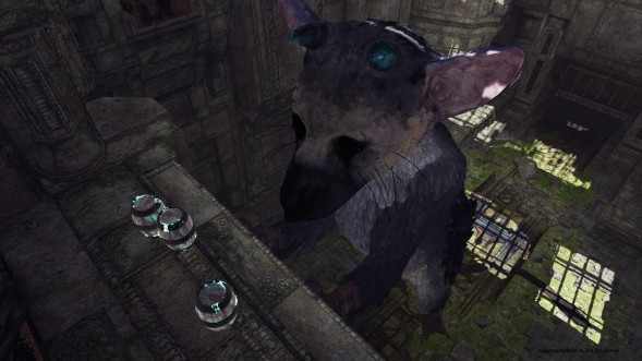 The Last Guardian: Последний хранитель [PS4, русские субтитры] в Комсомольске-на-Амуре