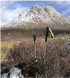 Треккинговая палка Naturehike 135 см, 1 шт., белый/красный в Комсомольске-на-Амуре