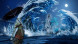 Игра Wild Hearts S [Nintendo Switch 2, английская версия] в Комсомольске-на-Амуре